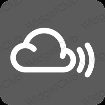 Ästhetisch grau Weather App-Symbole