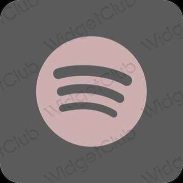 Ästhetisch grau Spotify App-Symbole