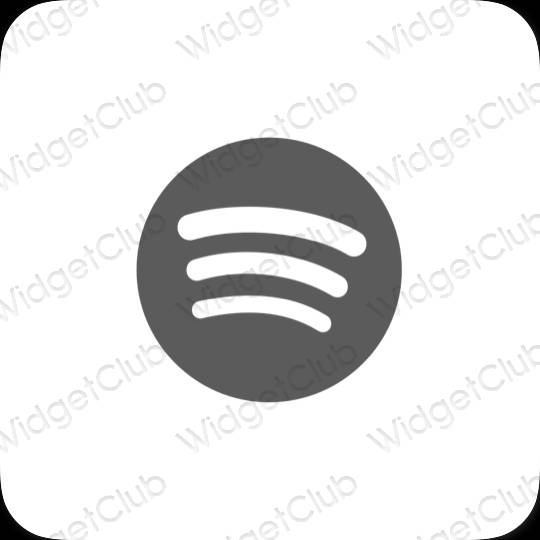 រូបតំណាងកម្មវិធី Spotify សោភ័ណភាព