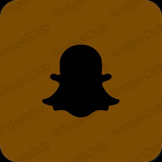 Estetické ikony aplikácií snapchat