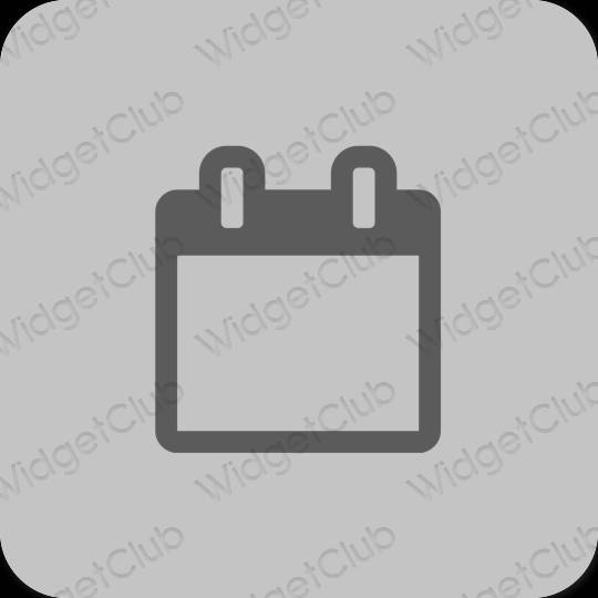 Ästhetisch grau Calendar App-Symbole