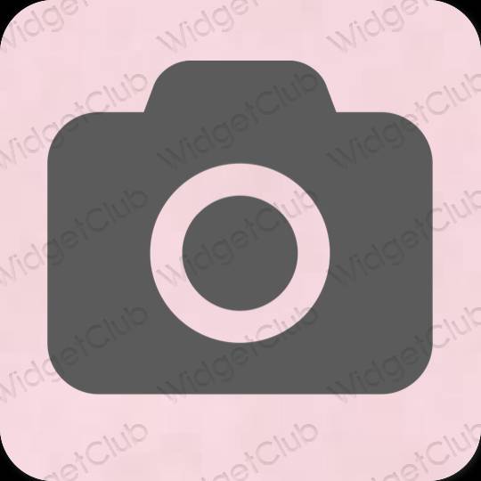 Aesthetic gray Camera app icons