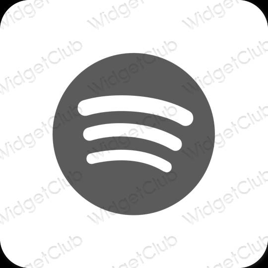 Icônes d'application Spotify esthétiques