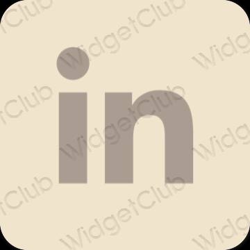 Estético beige Linkedin iconos de aplicaciones