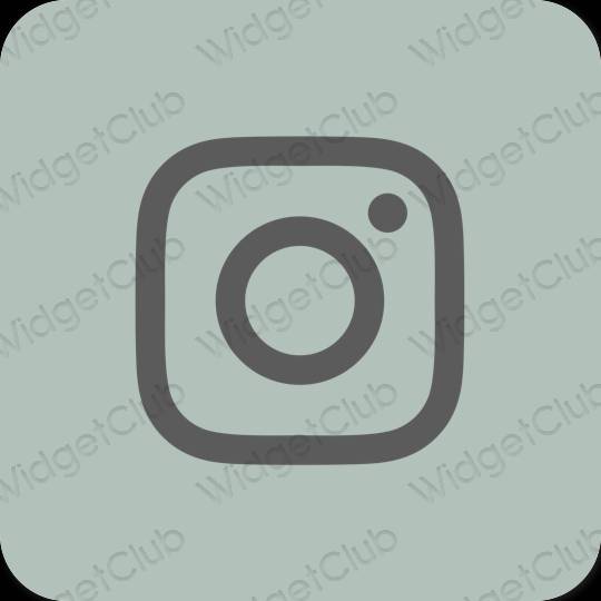 Stijlvol groente Instagram app-pictogrammen