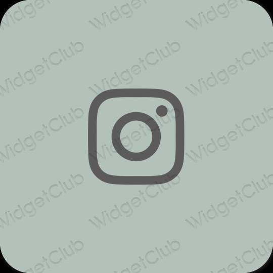 Estetsko zelena Instagram ikone aplikacij