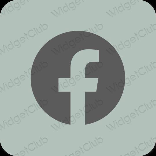 Estético verde Facebook ícones de aplicativos