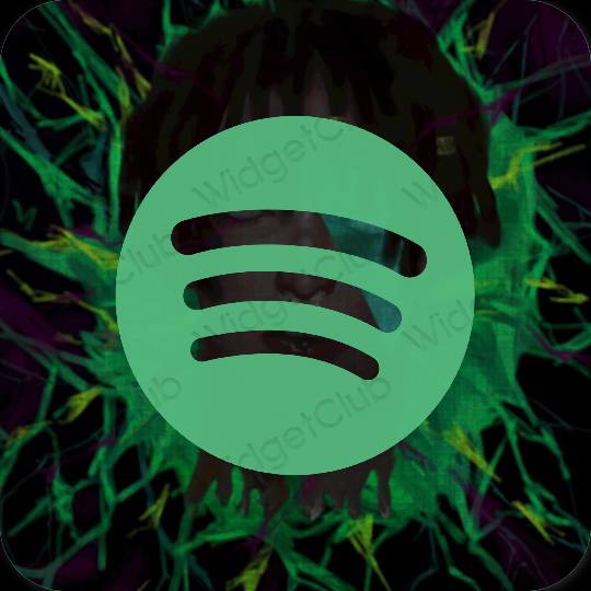 Esthetische Spotify app-pictogrammen