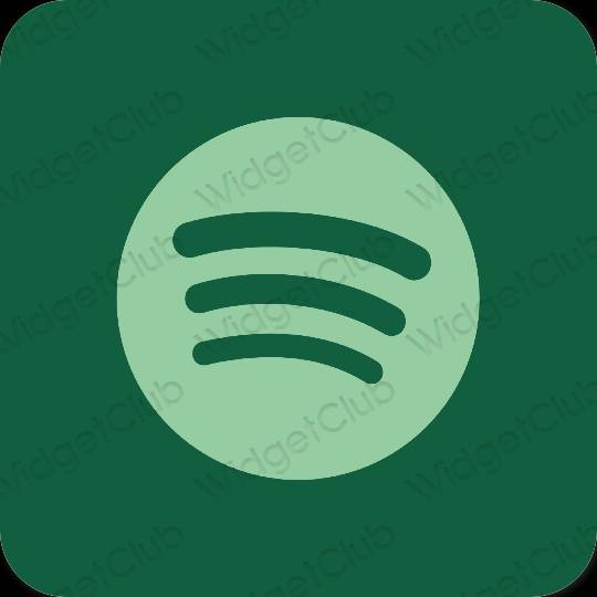 Esthetische Spotify app-pictogrammen