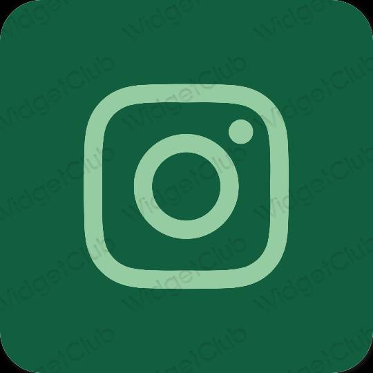 Icone delle app Instagram estetiche