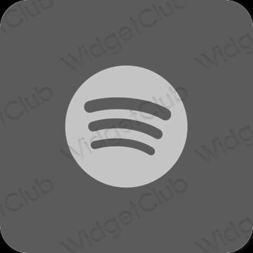 Esthetische Spotify app-pictogrammen