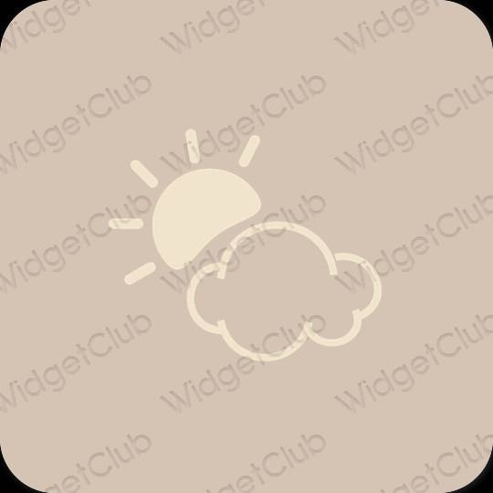 Ästhetisch Beige Weather App-Symbole