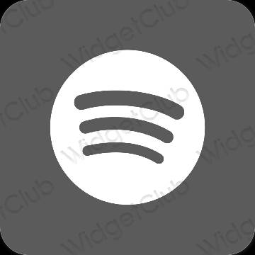 Ästhetisch grau Spotify App-Symbole