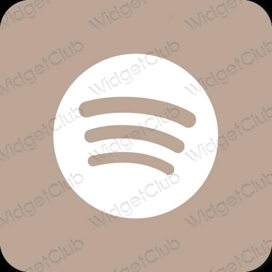 Estetske Spotify ikone aplikacija