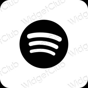 Esthetische Spotify app-pictogrammen