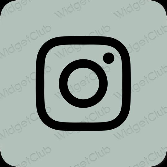 Estético verde Instagram iconos de aplicaciones