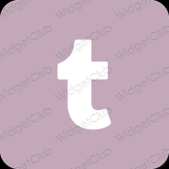 审美的 紫色的 Tumblr 应用程序图标