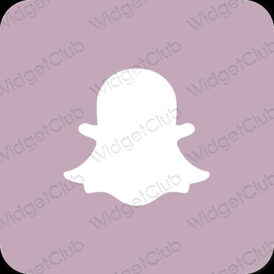 Icônes d'application snapchat esthétiques