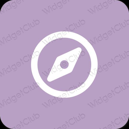 审美的 紫色的 Safari 应用程序图标