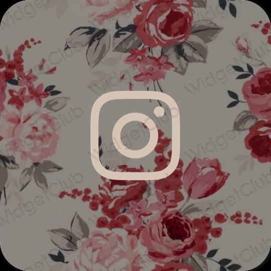 ესთეტიკური Instagram აპლიკაციის ხატები