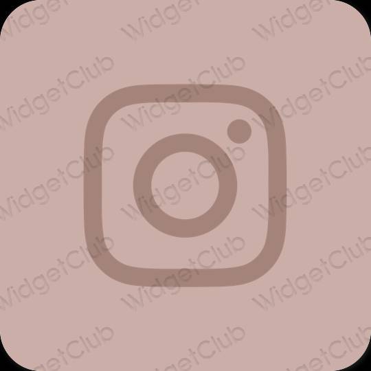 Естетичні Instagram значки програм