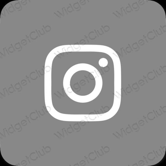 រូបតំណាងកម្មវិធី Instagram សោភ័ណភាព