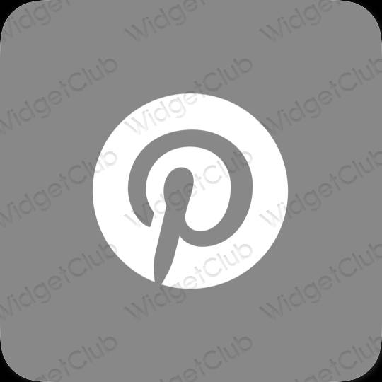 រូបតំណាងកម្មវិធី Pinterest សោភ័ណភាព