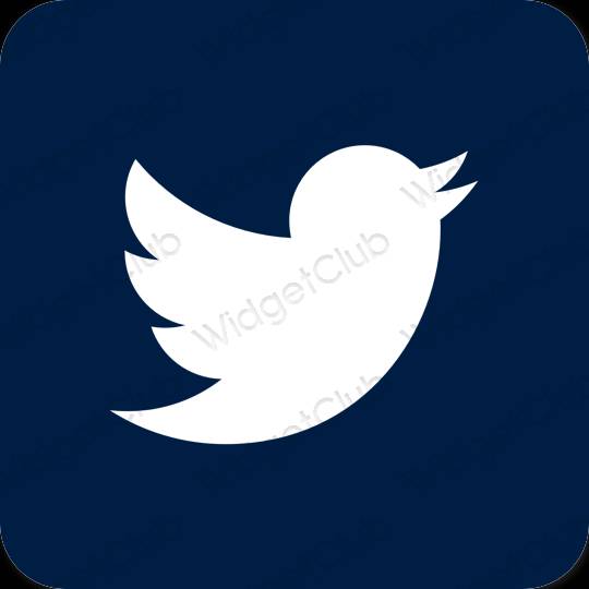 Icônes d'application Twitter esthétiques