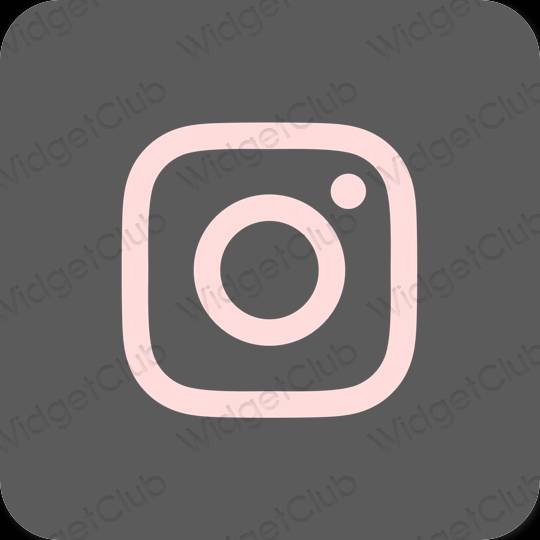 Æstetiske Instagram app-ikoner