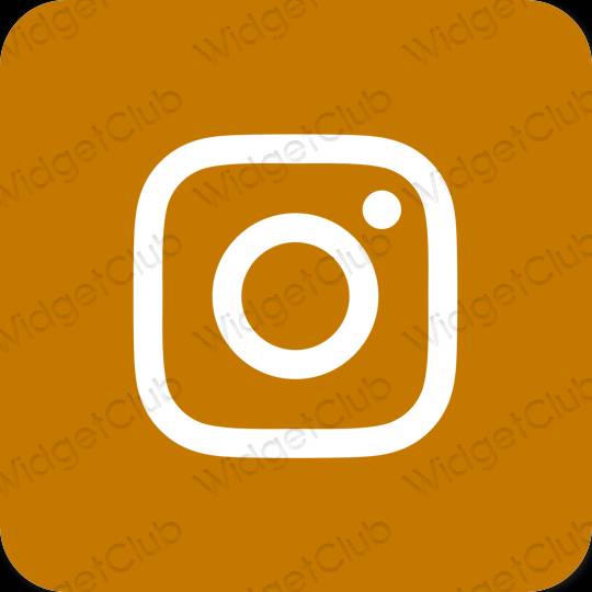 جمالي البرتقالي Instagram أيقونات التطبيق