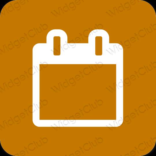 Estetski naranča Calendar ikone aplikacija
