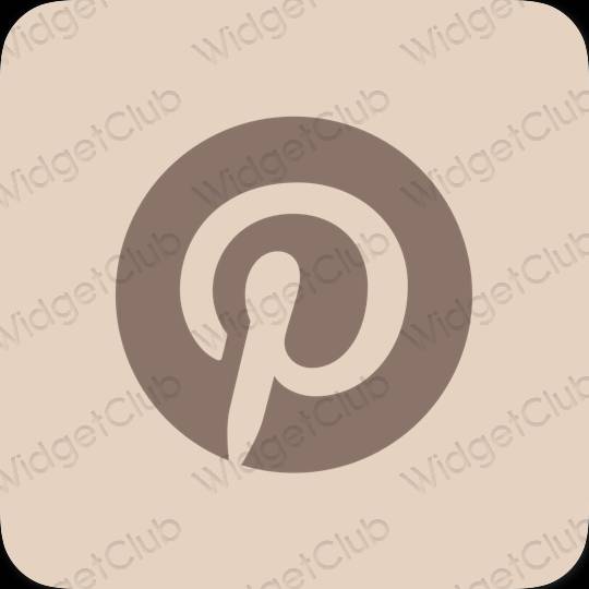 សោភ័ណ បន៍ត្នោតខ្ចី Pinterest រូបតំណាងកម្មវិធី