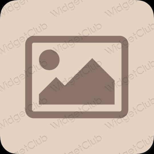 Aesthetic beige Photos app icons