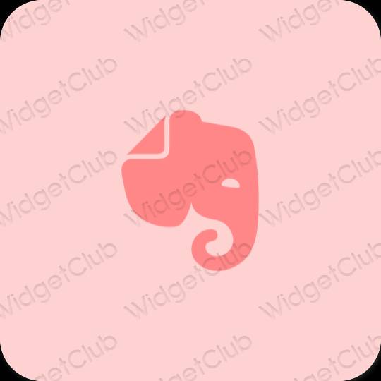Естетски розе Evernote иконе апликација