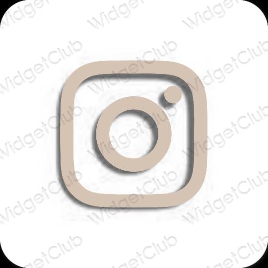រូបតំណាងកម្មវិធី Instagram សោភ័ណភាព