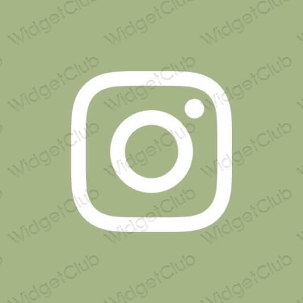 Ästhetische Instagram App-Symbole