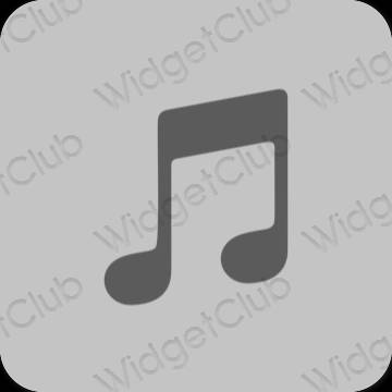 Estetisk grå Apple Music app ikoner