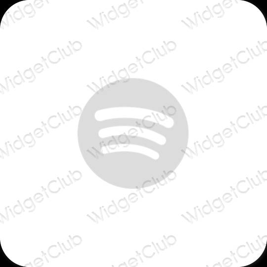 Esthetische Spotify app-pictogrammen