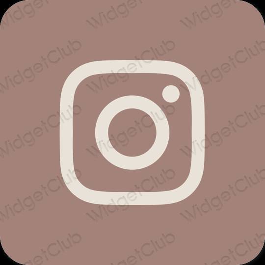 審美的 棕色的 Instagram 應用程序圖標
