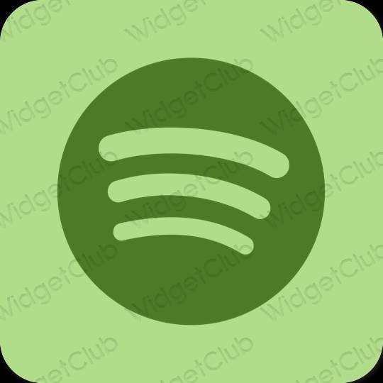 Ästhetische Spotify App-Symbole