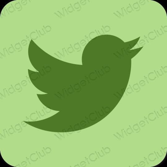 Ästhetische Twitter App-Symbole