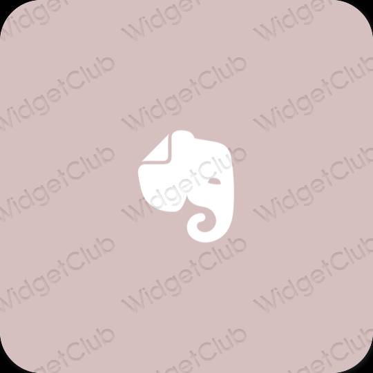 Естетски пастелно розе Evernote иконе апликација