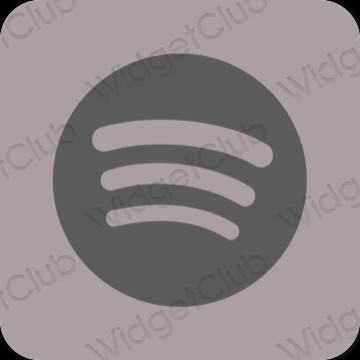 Esthetische Spotify app-pictogrammen