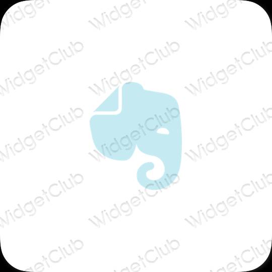 Estetické ikony aplikací Evernote