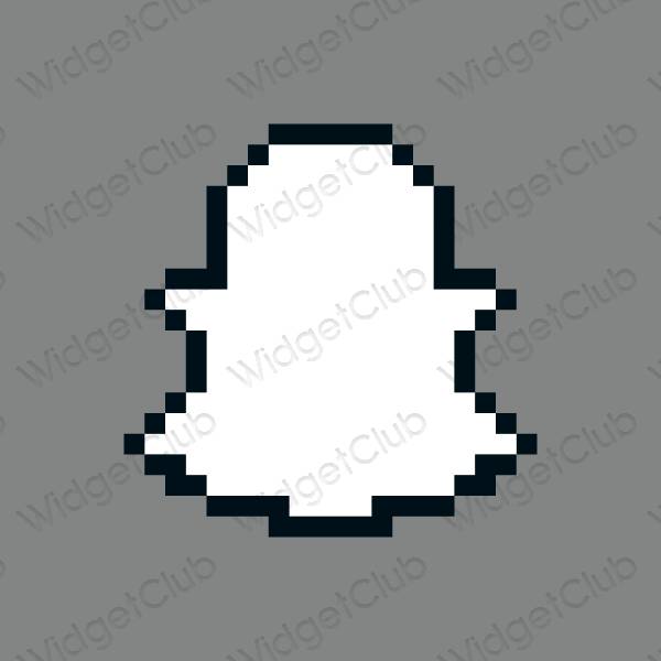 Aesthetic snapchat app icons