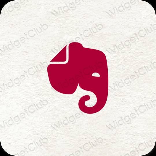 Aesthetic Evernote app icons