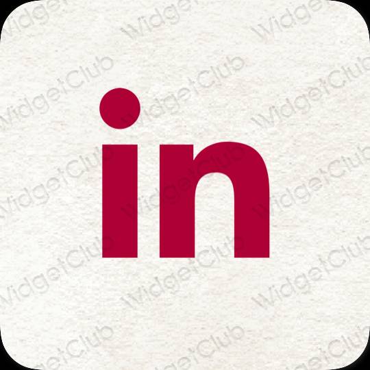 រូបតំណាងកម្មវិធី Linkedin សោភ័ណភាព