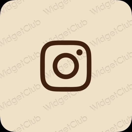 ესთეტიკური Instagram აპლიკაციის ხატები