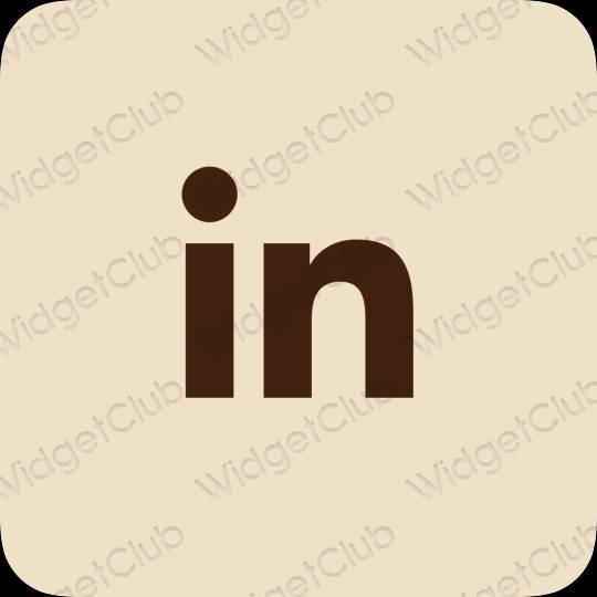 ესთეტიკური Linkedin აპლიკაციის ხატები