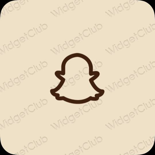 ესთეტიკური snapchat აპლიკაციის ხატები